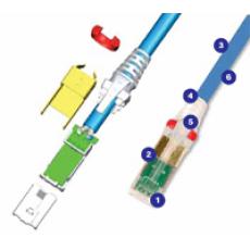 Z-MAX 6A UTP Modular Cords(CLIP-(XX))