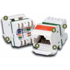 MAX 6 UTP MODULES(MX6-(XX)/)MX6-F(XX)/MX6-K(XX)