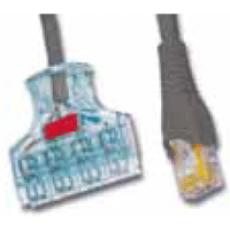 S210® TO MC CABLE ASSEMBLIES(S210P4A4-(XX)-(XX)/S210P4T4-(XX)-(XX)/S210P2E2-(XX)-B(XX))