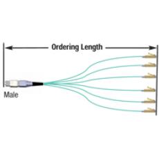MTP® TO LC HYDRAS(FJ-MMLC(XX)(X)(XX)(X))