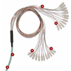 Fiber Trunking Cable Assemblies(TF-(X)(X)(X)(X)(XX)(XX)(XXX)(X))