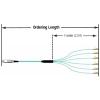 MTP® TO LC TRUNKS(TF(X)(X)(XX)(X)(XX...