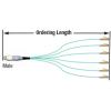 MTP® TO LC HYDRAS(FJ-MMLC(XX)(X)(XX)...