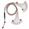 Fiber Trunking Cable Assemblies(TF-(...