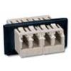 XGLO® & LIGHTSYSTEM®(FOB-BZL-LC(X)-01) 