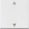 MTN586219,Blind push-button, polar w...