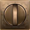 MTN538443,Central plate for time swi...