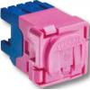 30RJ45SMA5SH,PK,Pink modular Cat. 5e...